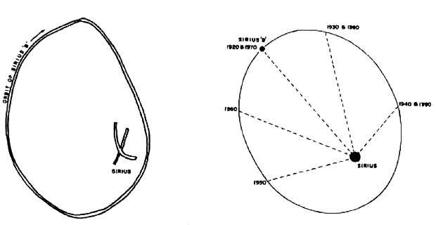 Орбита Сириуса В в представлении догонов (слева) и по наблюдениям астрономов