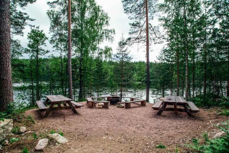 Как в Финляндии победили мусор в лесах и пожары 12