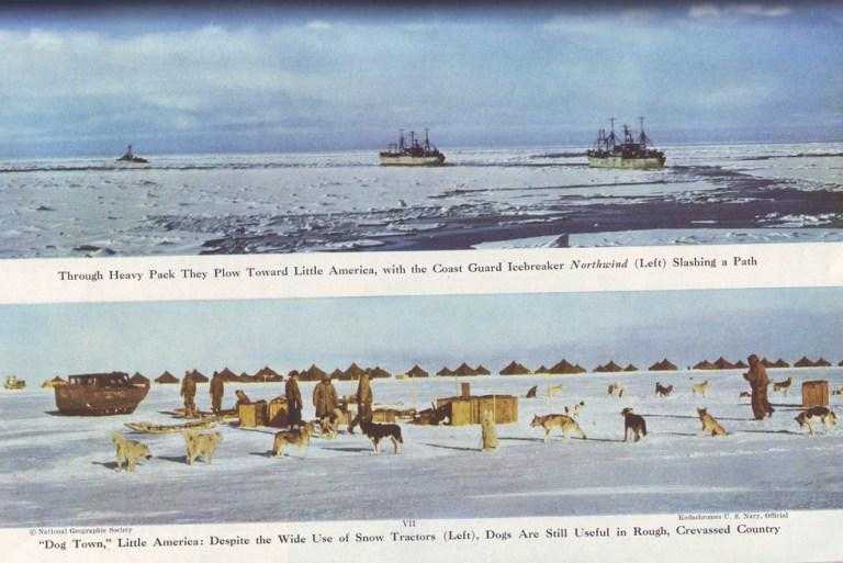 Почему Ричард Бёрд прервал экспедицию в Антарктиду в 1947 1