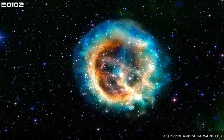 Взрыв сверхновой мог стал причиной вымирания 2,6 млн лет назад 1