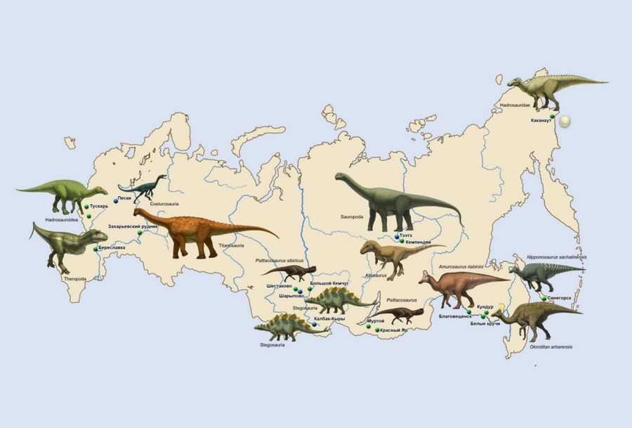 Динозавры Сибири. Какие динозавры жили в Сибири 3