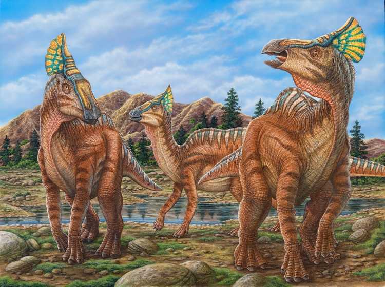 Динозавры Сибири